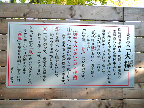 chinju-hikawa.jpg