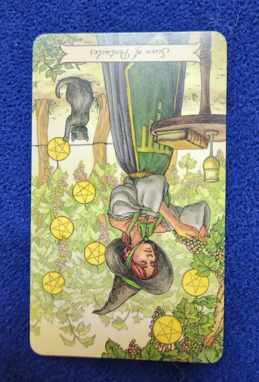 20231113_091820 (002).jpg