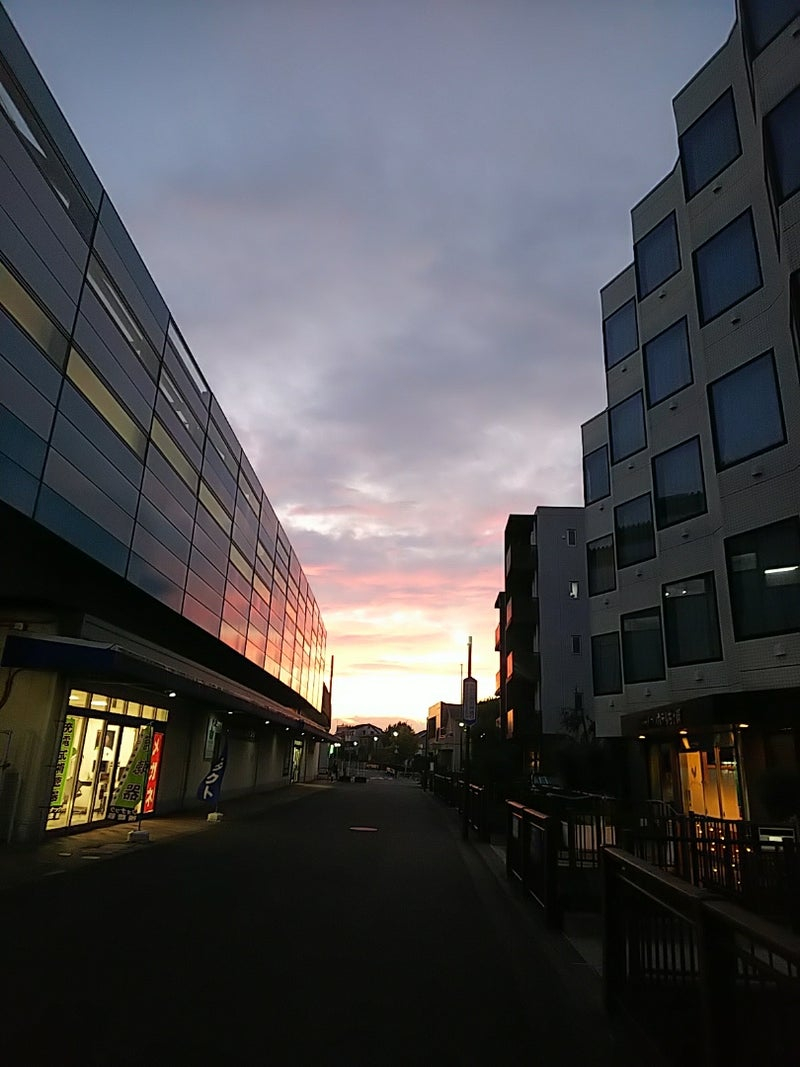 夏の夕方4.jpg
