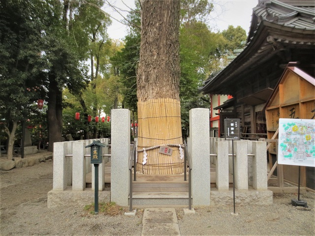 202602田無神社04.jpg