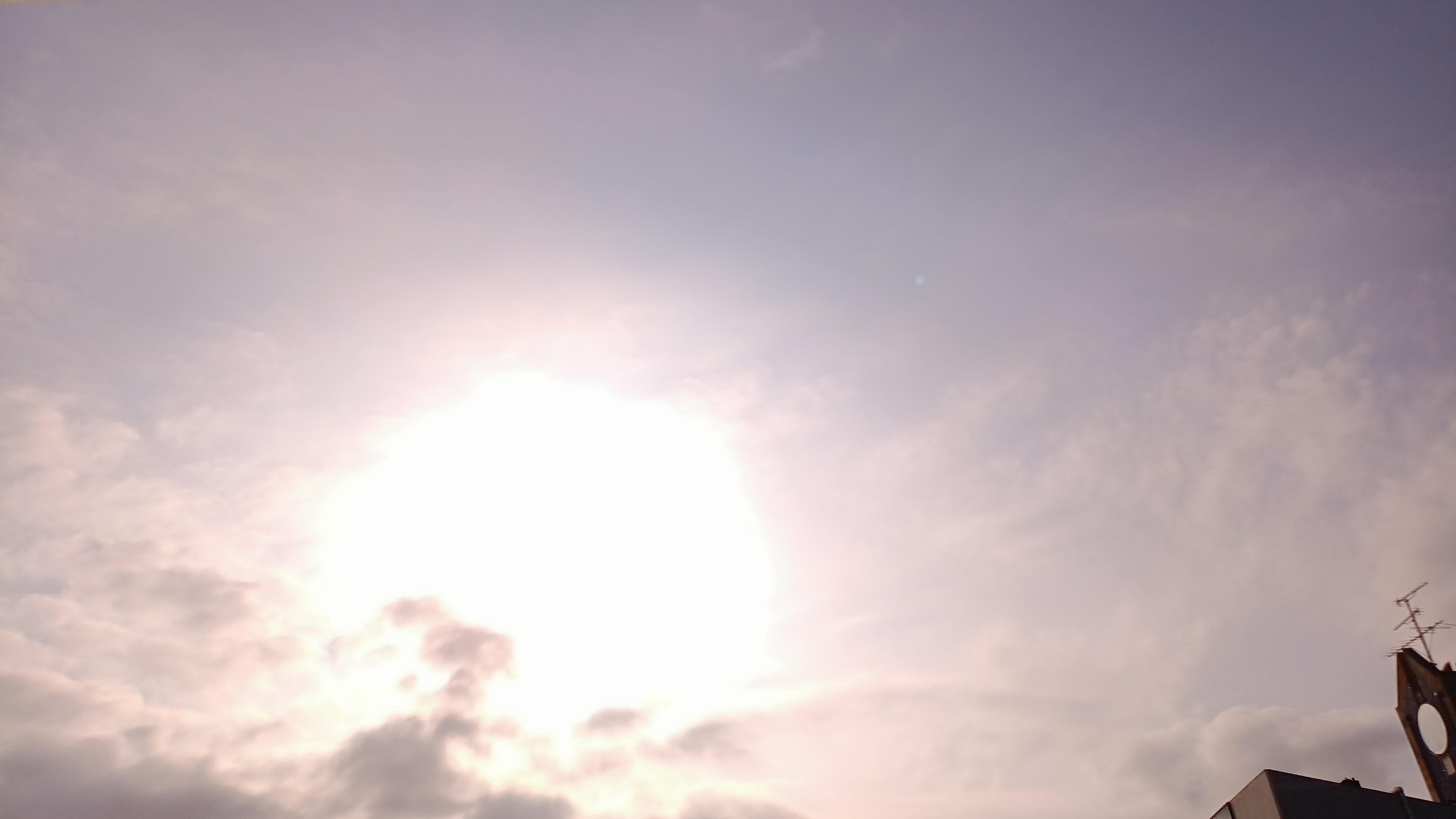IMG_20250818_073454_339.jpg