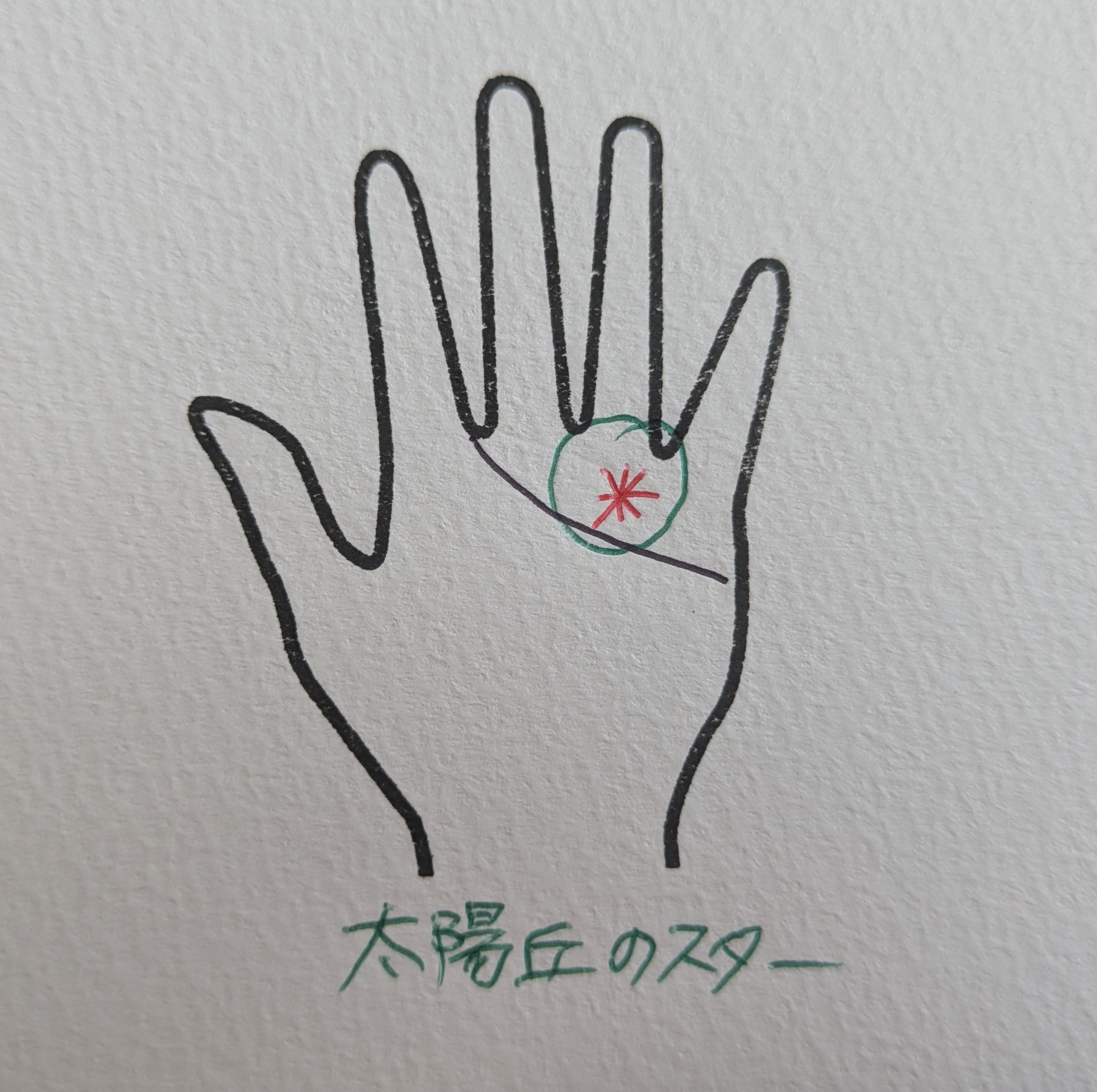 PXL_20251028_015342294.jpg