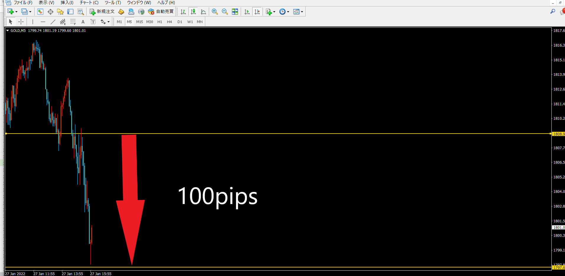 スクリーンショット (369).png