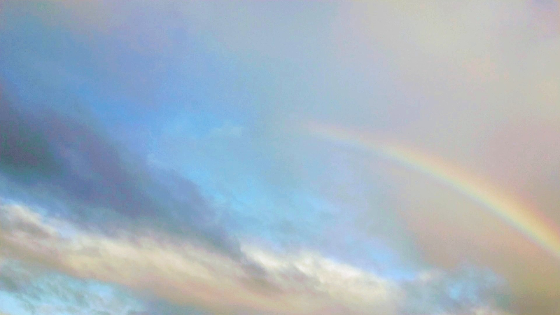 _20220412_093447.JPG