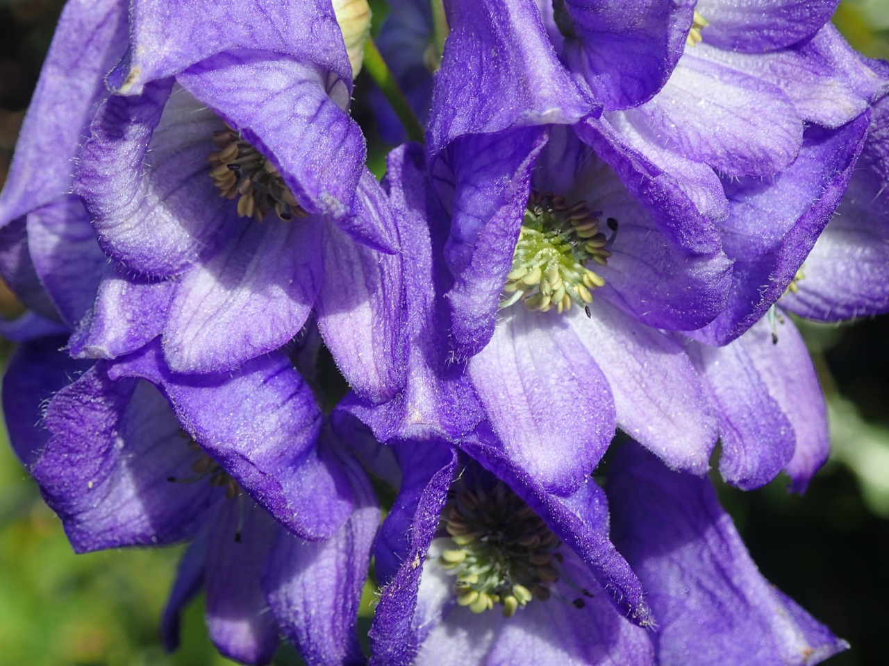 PB010362.JPG