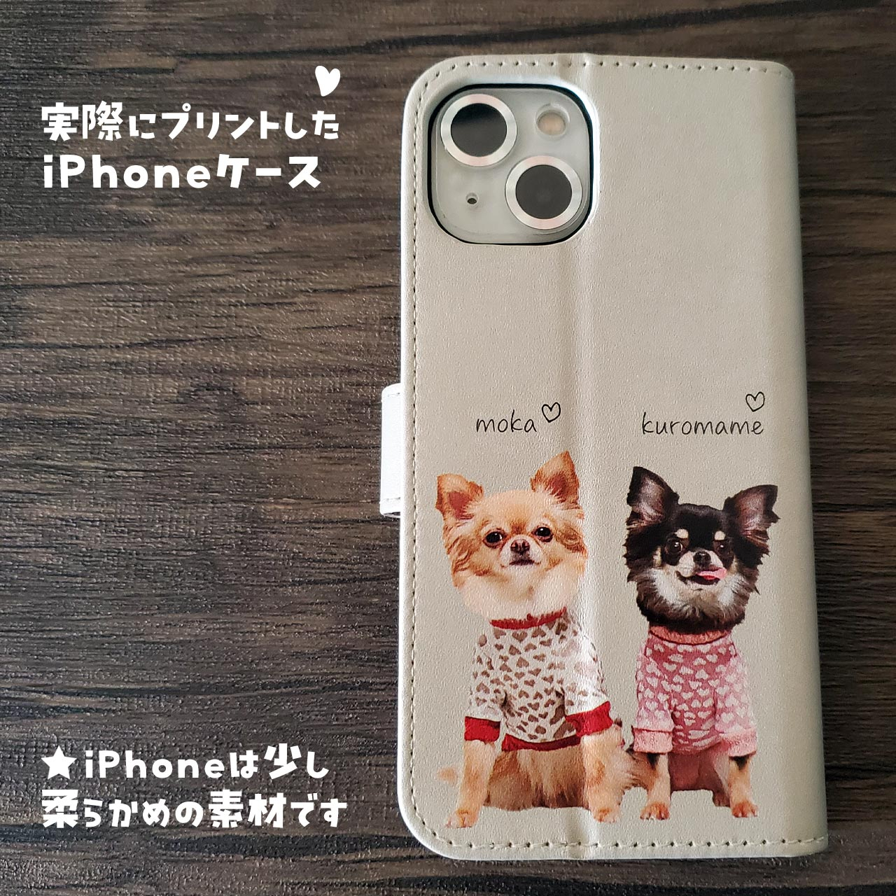img_pic_iPhone1.jpg