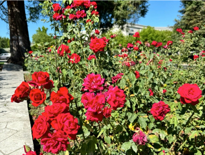 スクリーンショット 2024-06-09 11.54.36.png