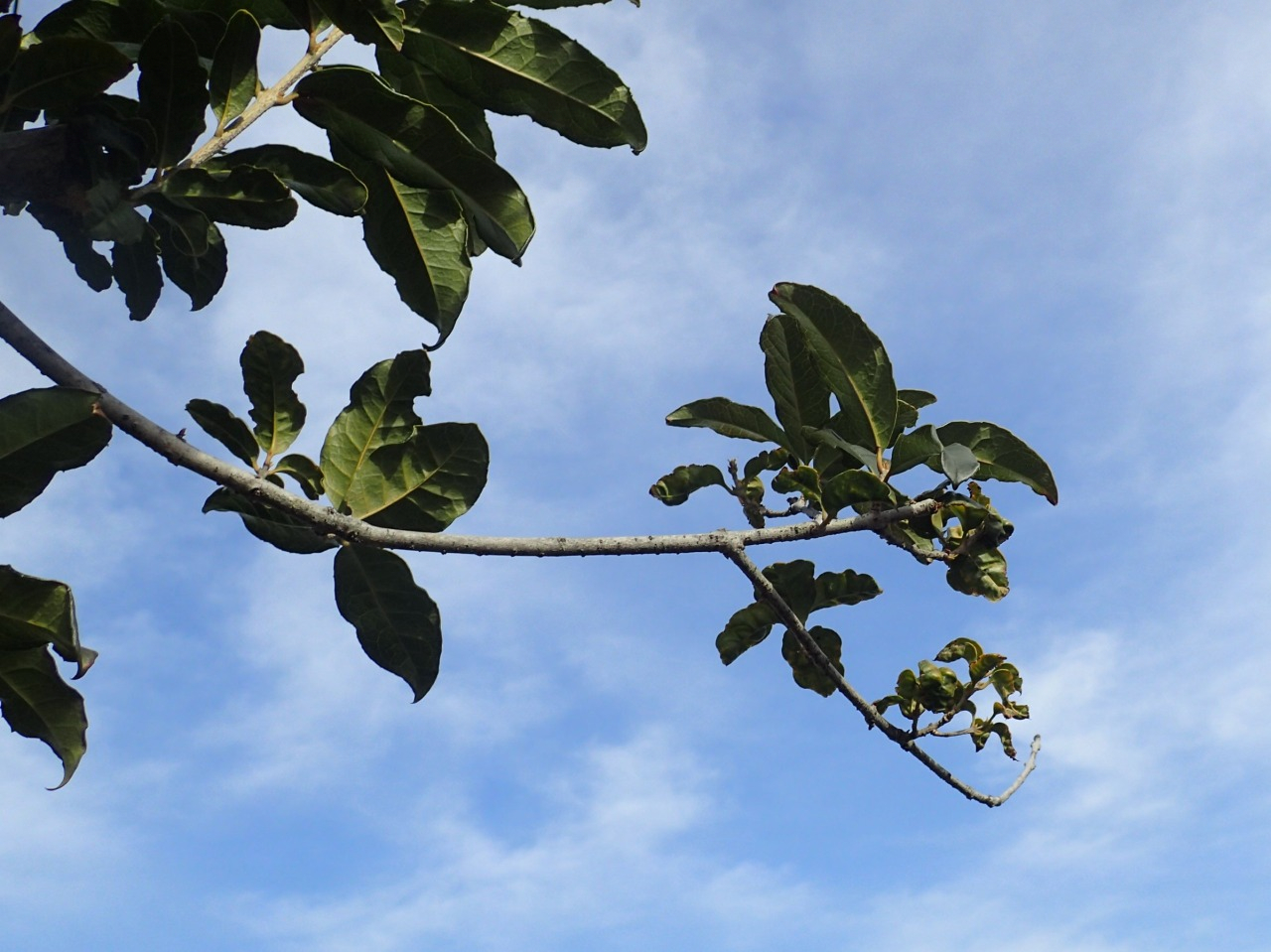 P2120380.JPG
