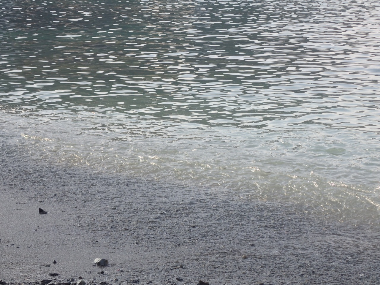 P8110484.JPG