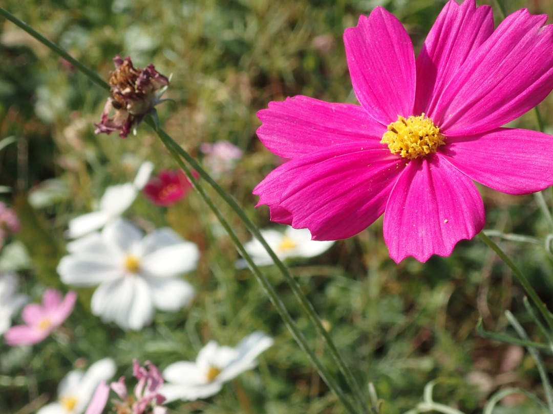 PA180036.JPG