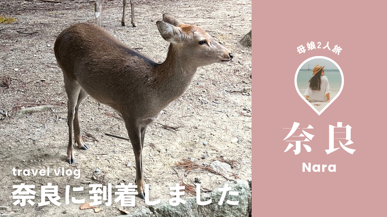 ピンク 優しい 国内旅行 奈良 Vlog Youtubeサムネイル 2.PNG