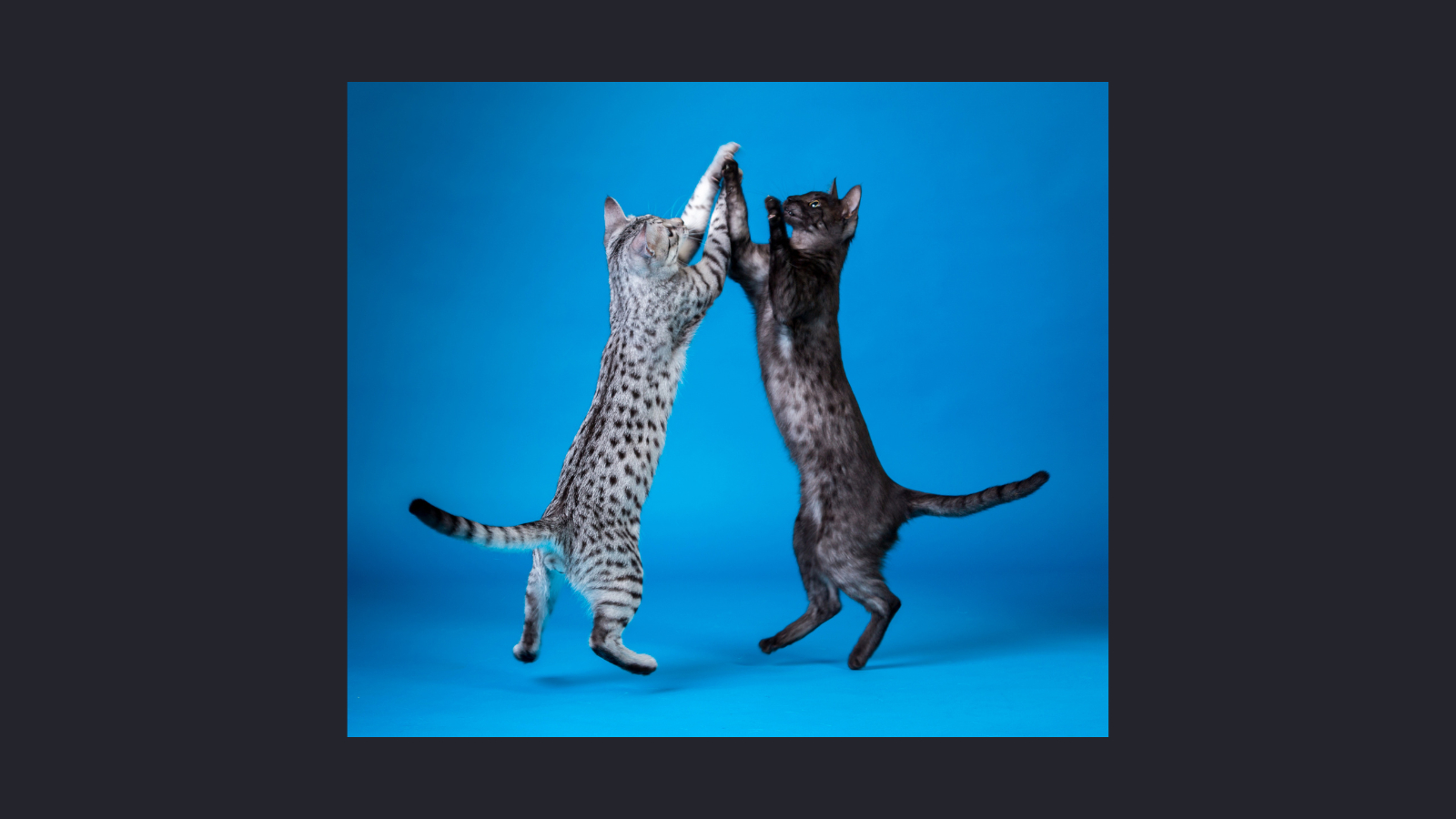 名称未設定のデザイン (38).png