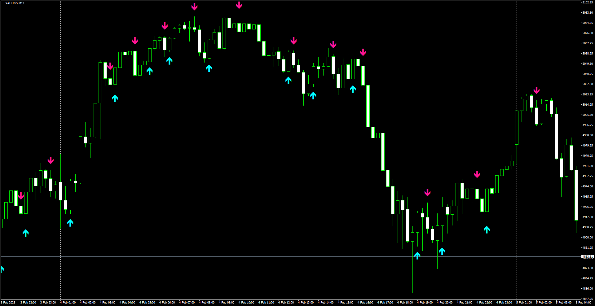 XAUUSD(M15)_2026.02.05_200738.png
