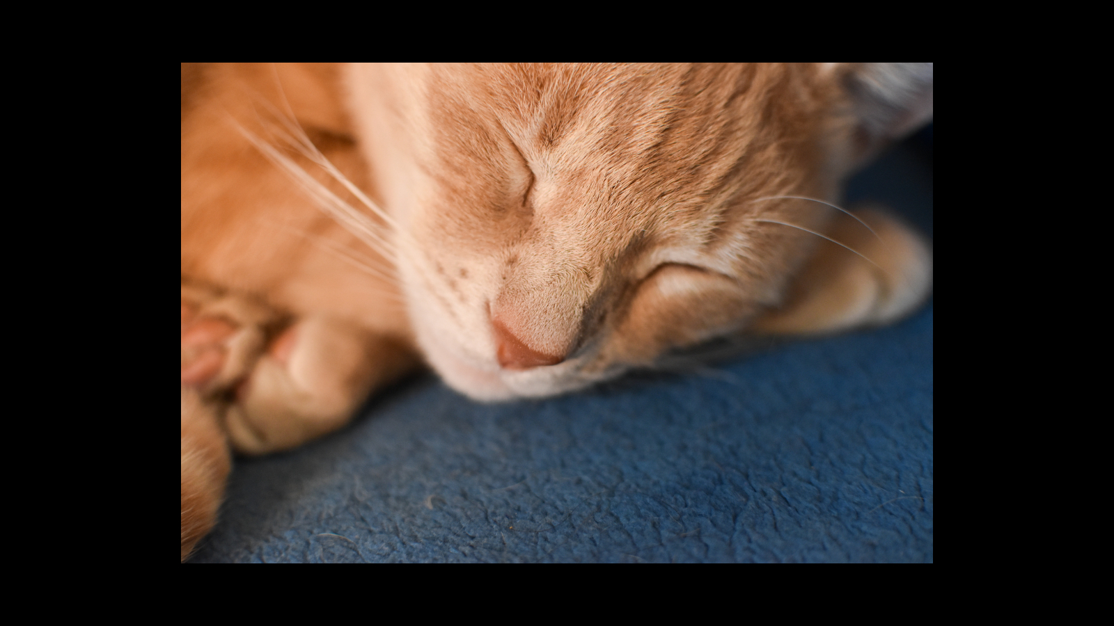 名称未設定のデザイン (51).png