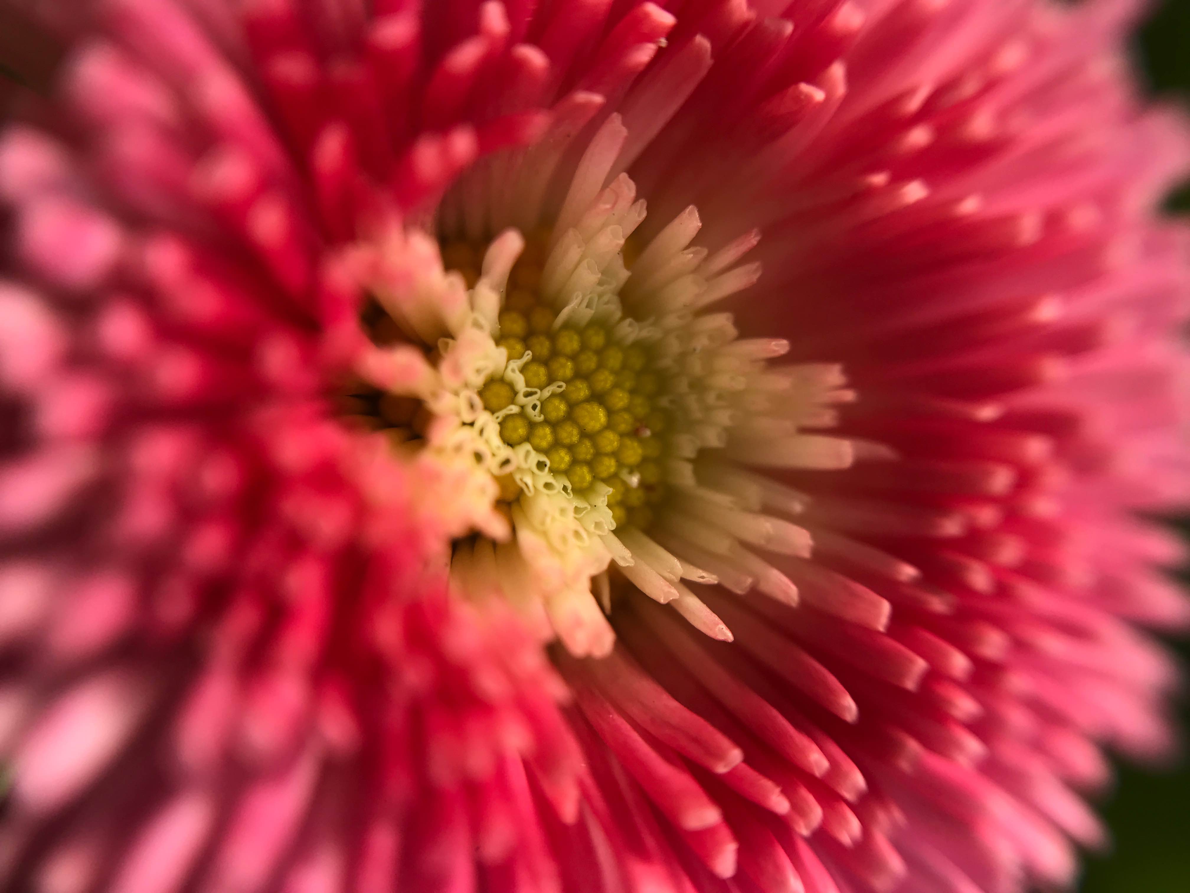 03D3515D-2D5B-468A-9EF0-BB1D2A8EF602.jpeg