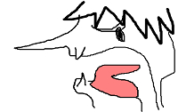 rnoshita.png