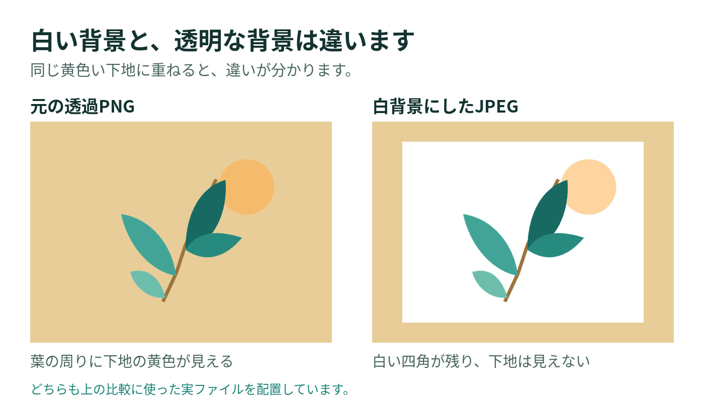02_白背景と透過の違い_日本語注釈.png