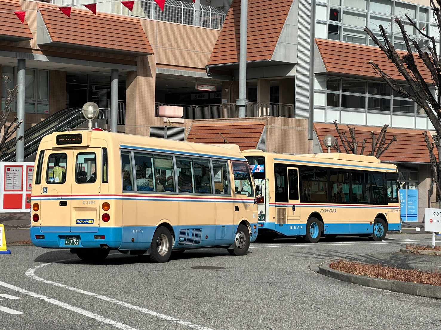 S__59031555_0.jpg