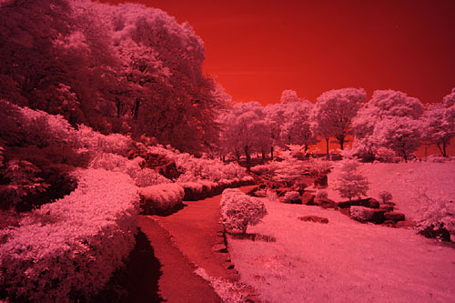赤い景色.jpg