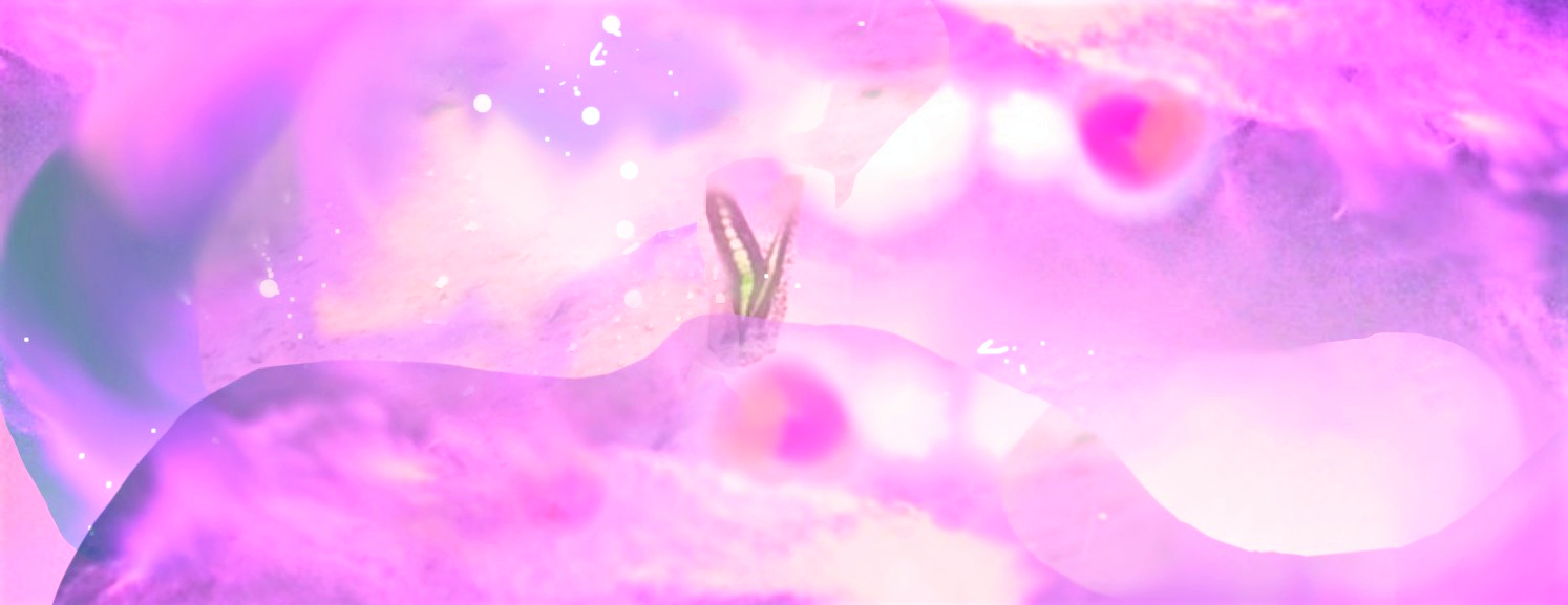 sketch-1649910713887 (2).png