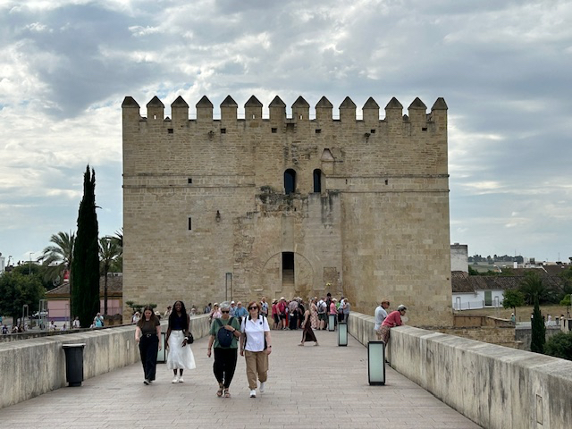 IMG_6384.jpg
