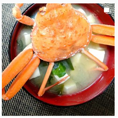 all - コピー (5).jpg