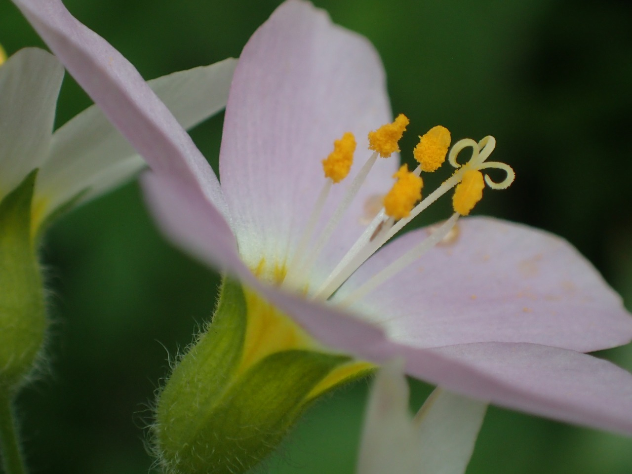 P4270439.JPG