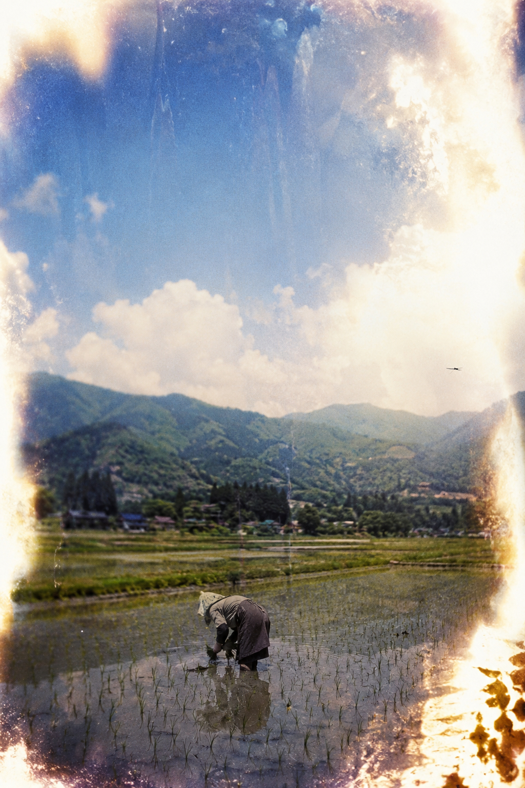 霊視実例_田植え.png