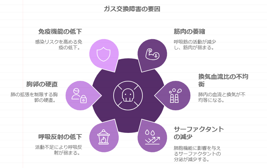 スクリーンショット 2024-11-14 111557.png