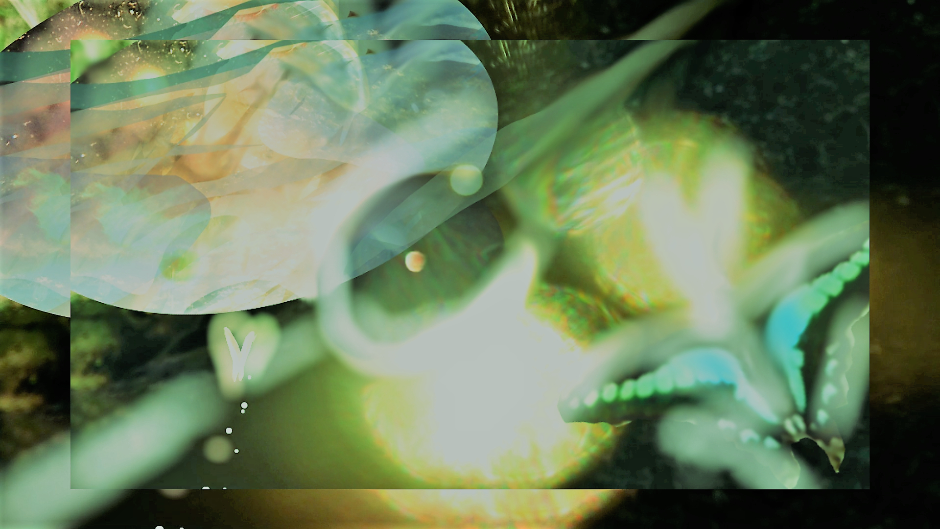 sketch-1668133260051 (2).png