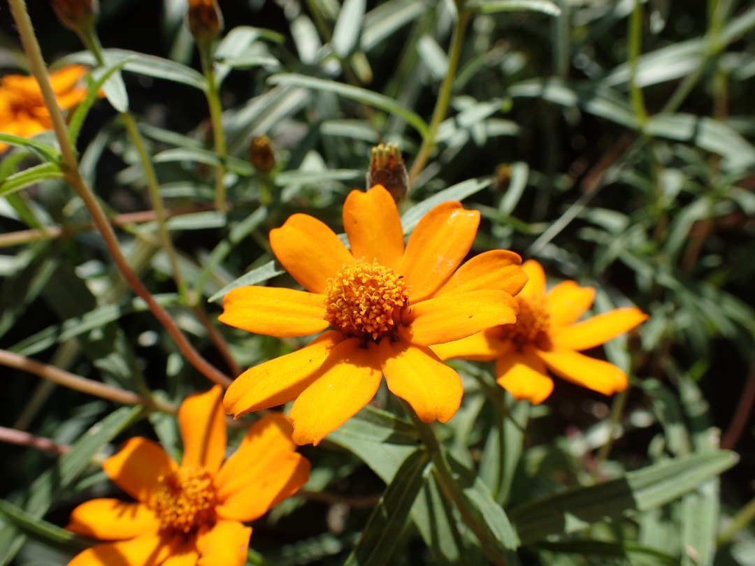PA100070.JPG