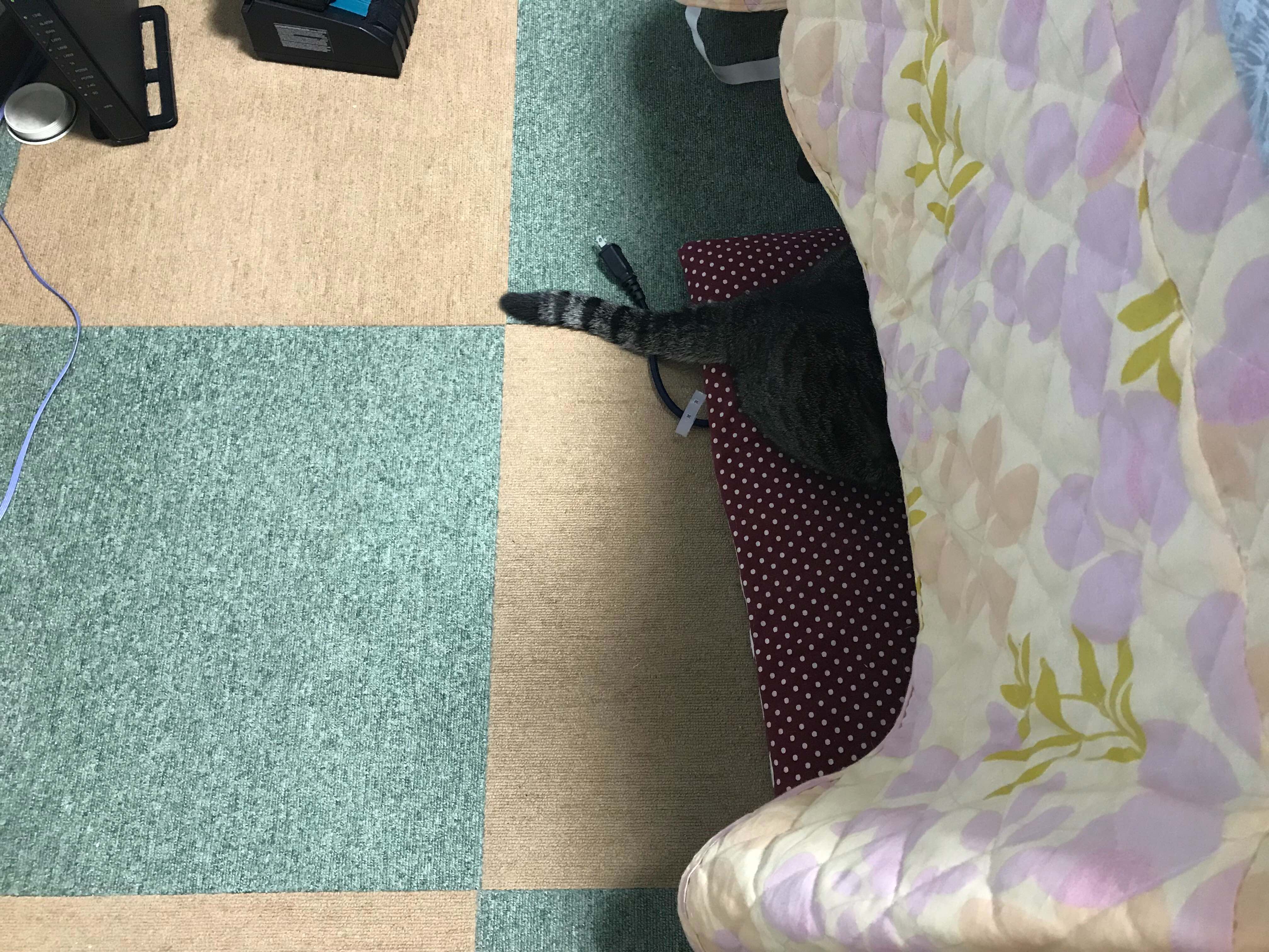 F5856B5F-75D9-4836-B67F-D2D4D0227087.jpeg