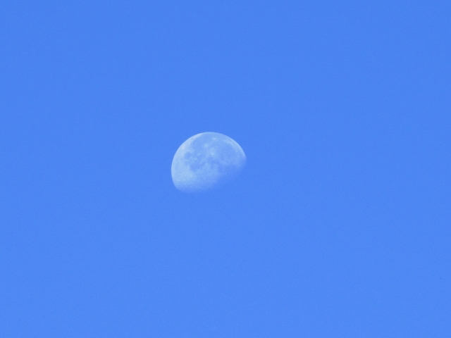 25128569_s-2.jpg