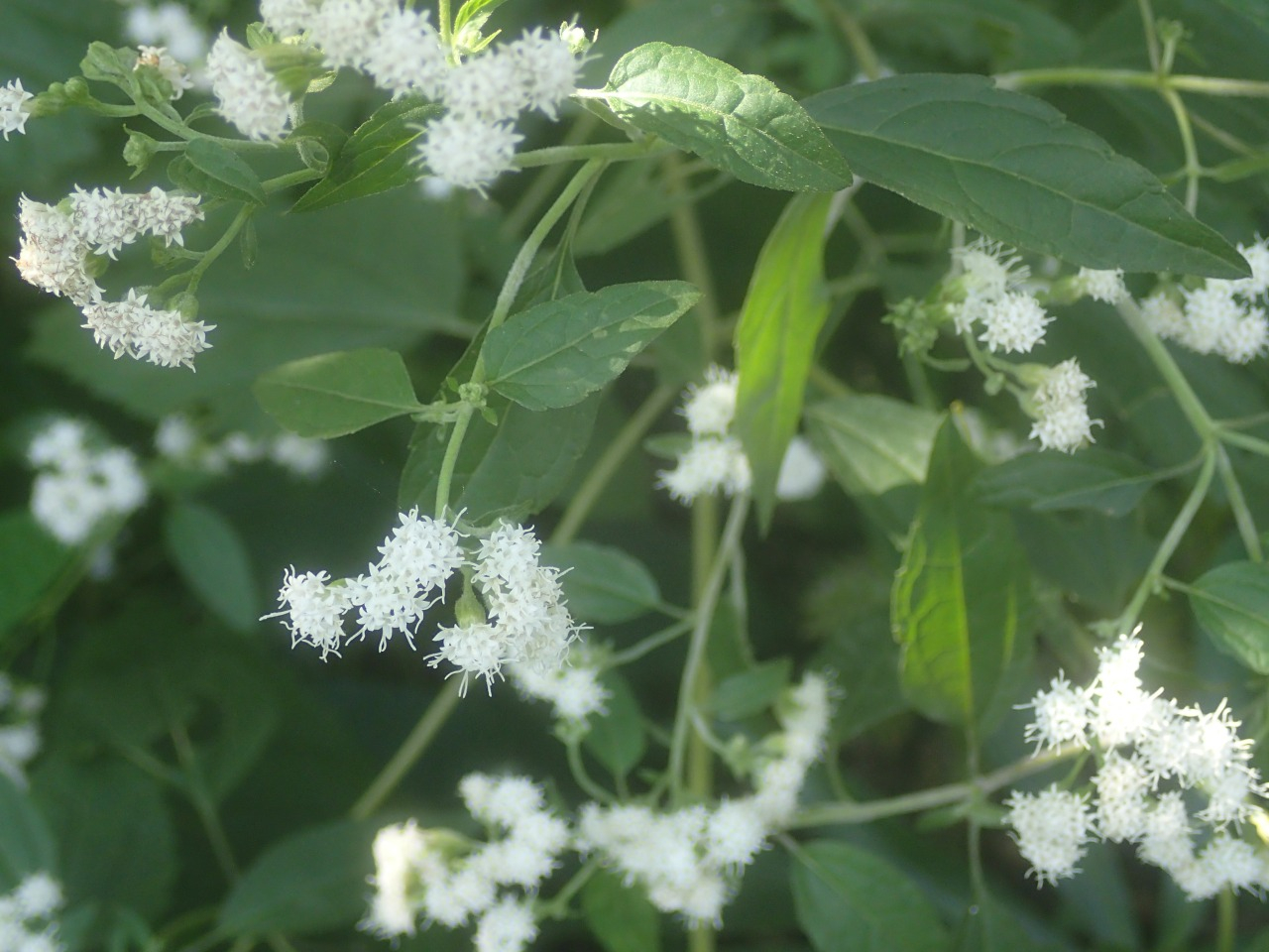 PA120327.JPG