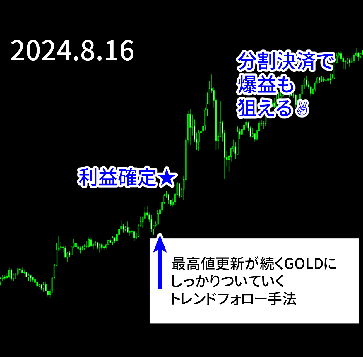 エントリー例_240816.png