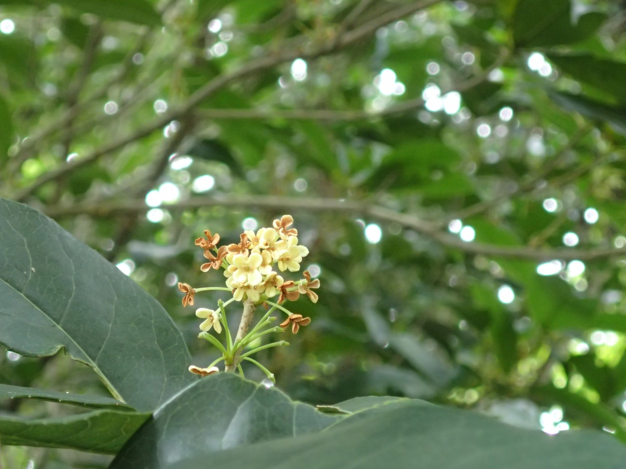 PA050160.JPG