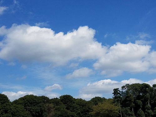 note5.jpg