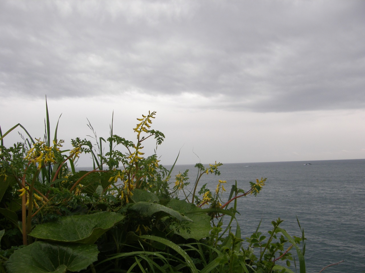 P4150142.JPG