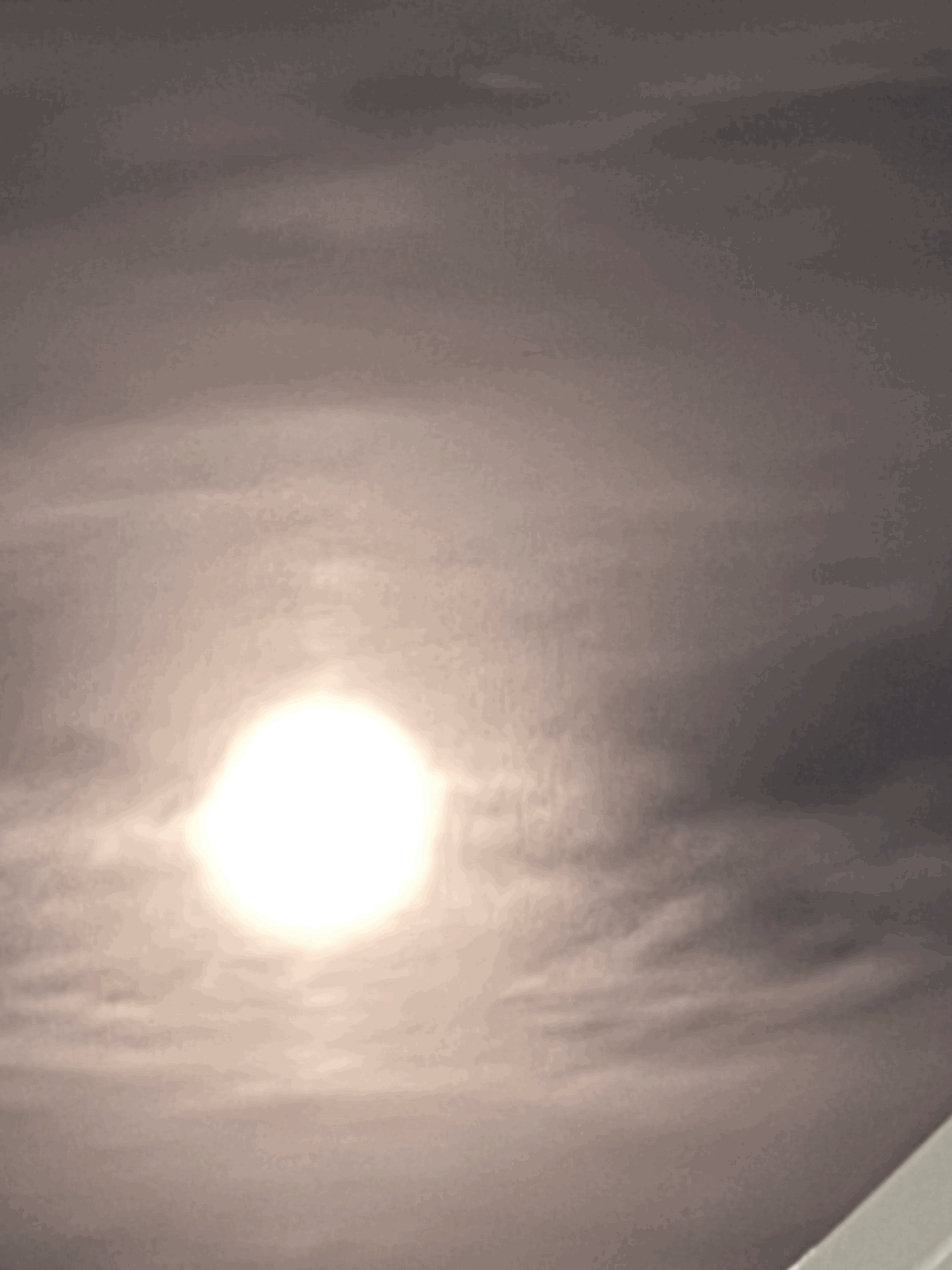 tempImageFsTKdI.gif