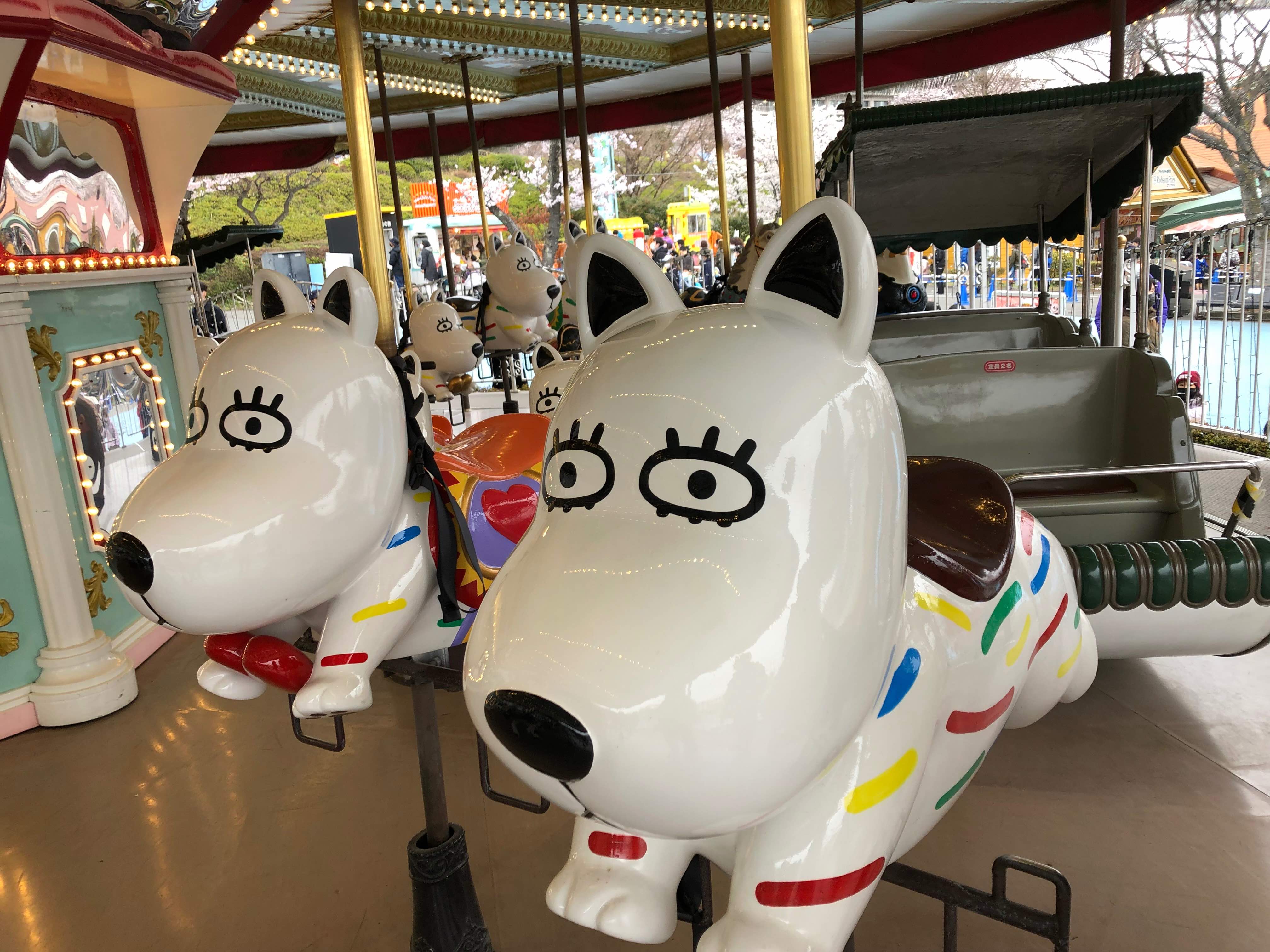 IMG_9700.jpeg