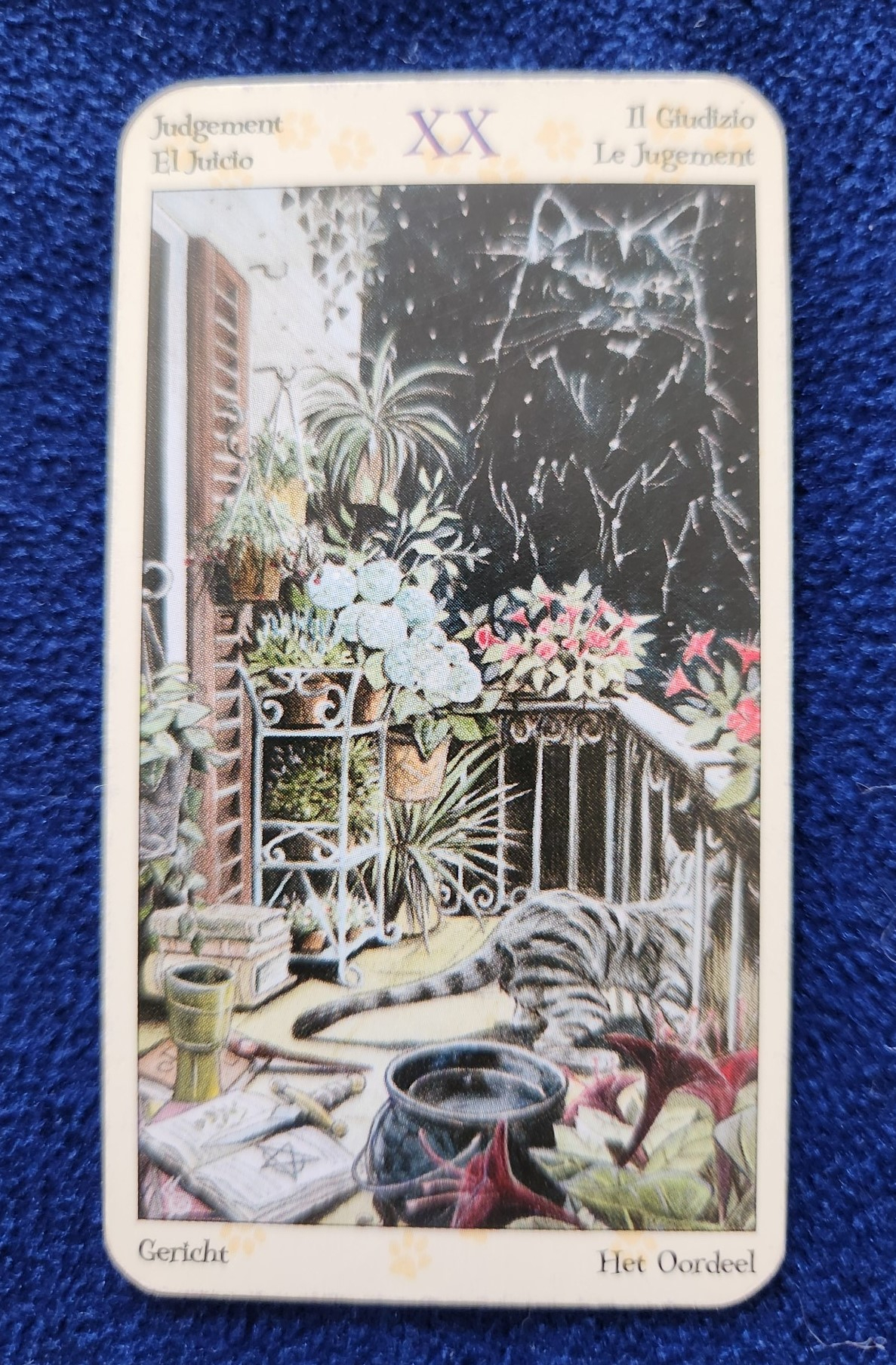 20240402_094539 (002).jpg