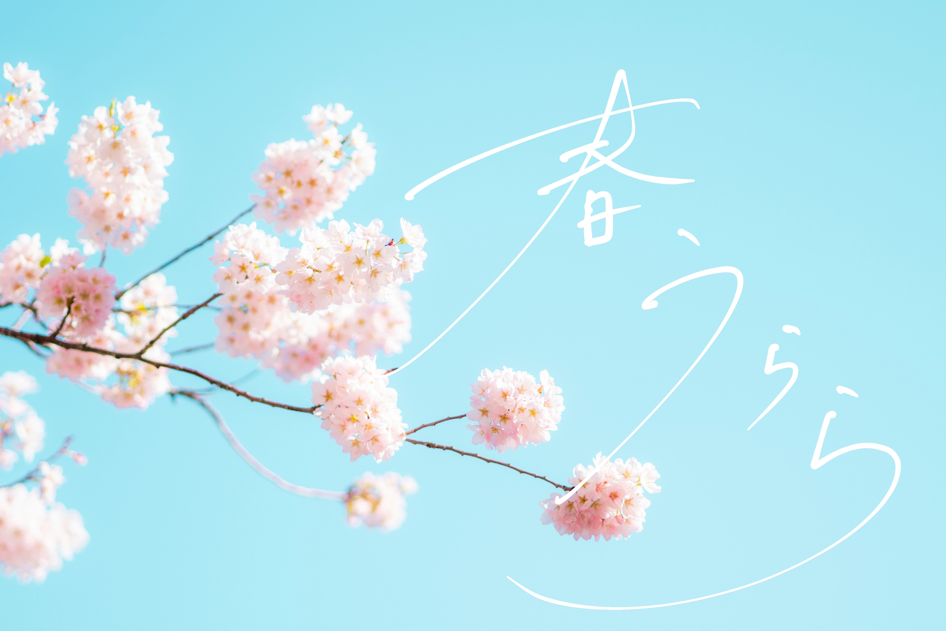 IMG_1699.PNG