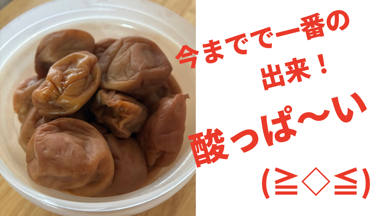 梅干し.png