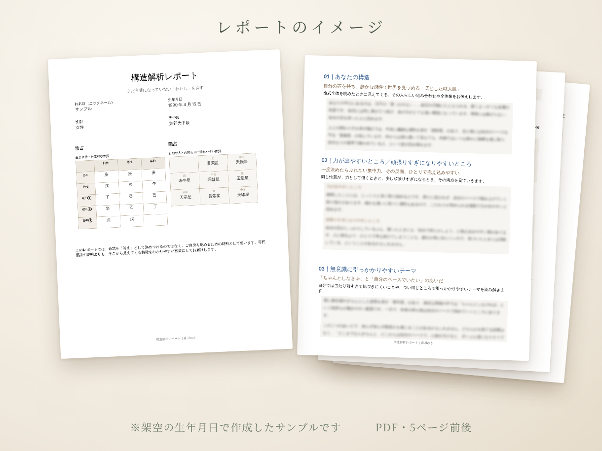 商品画像_レポート見本.png