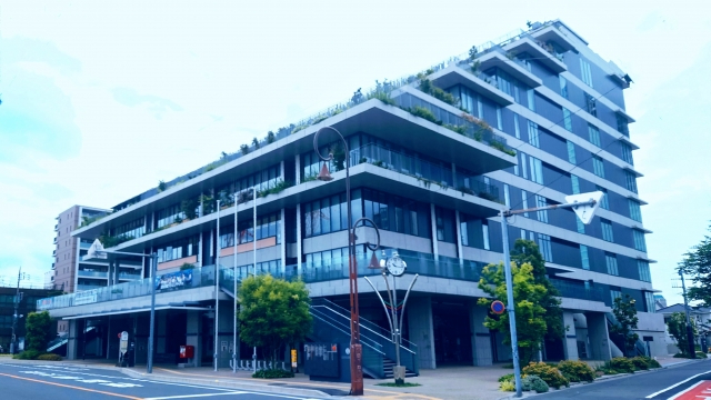 30165186_s.jpg