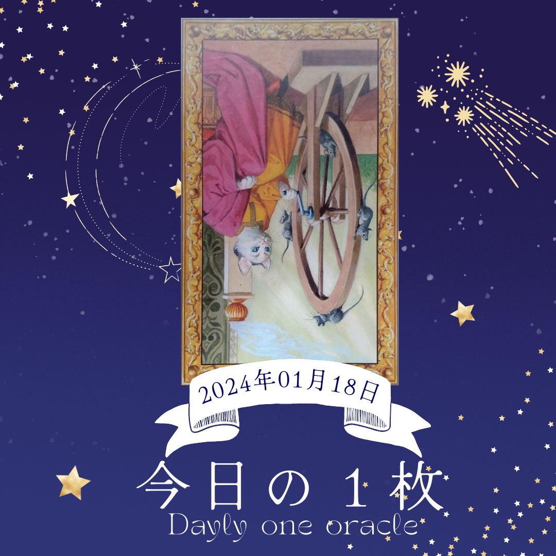 今日の１枚.png