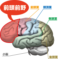 o0227023114883549451.png