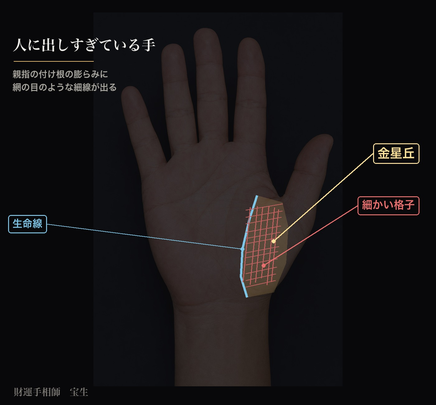 fig03_金星丘の格子.jpg