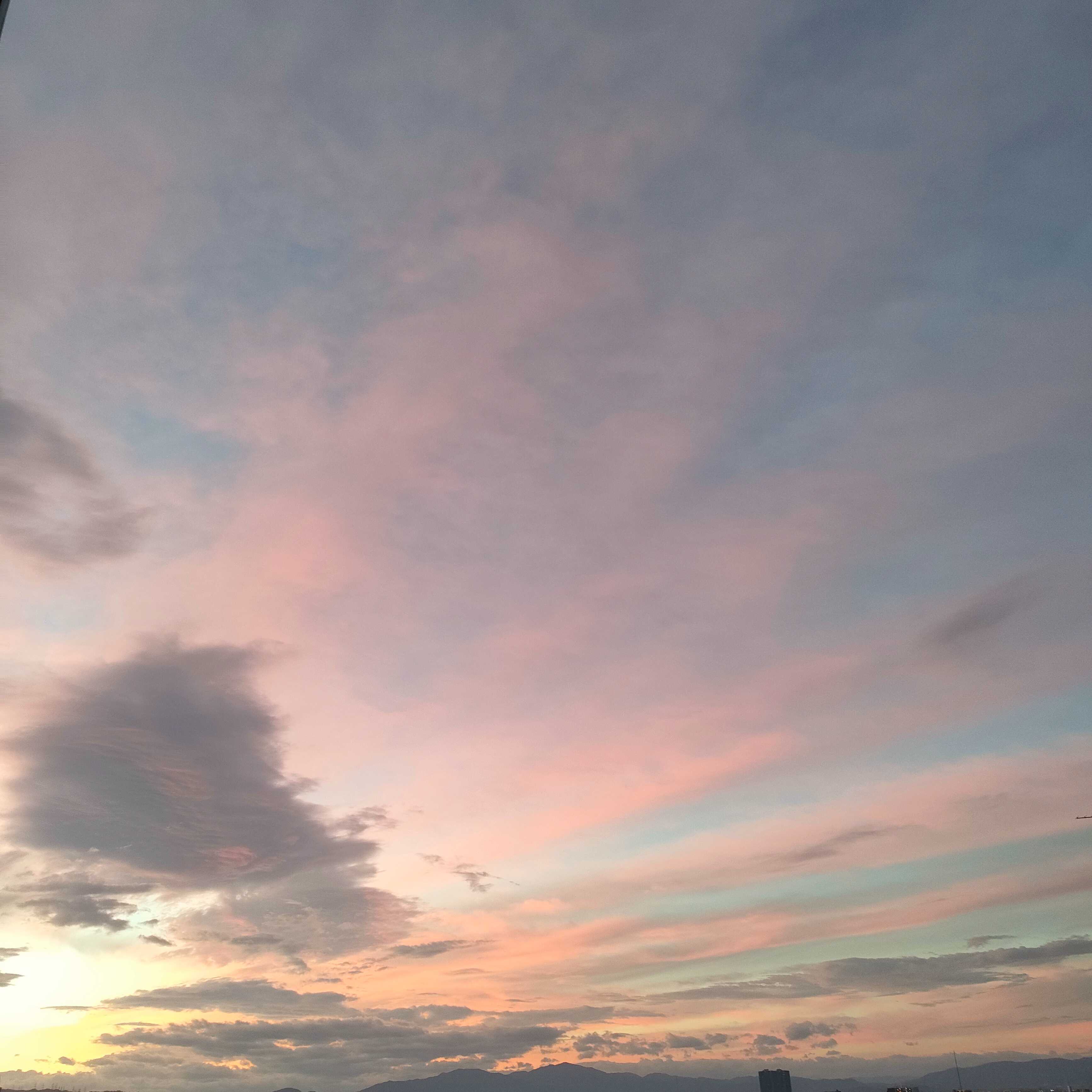 IMG20231106060924.jpg
