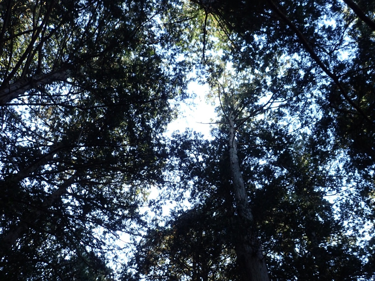 PC310089.JPG